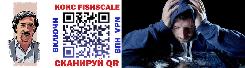 КОКАИН Fish Scale  Купить закладки  Новопавловск 
