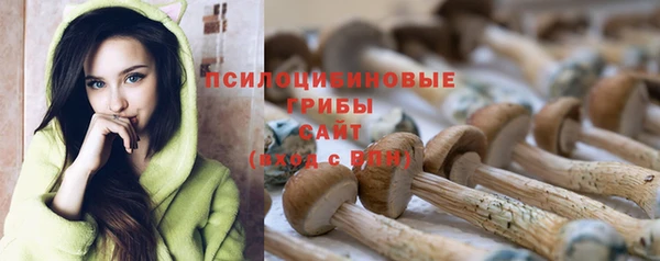 spice Елизово