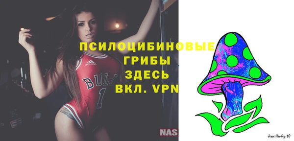 ГАЛЛЮЦИНОГЕННЫЕ ГРИБЫ Заволжск