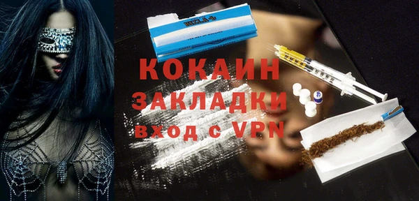 МДПВ Ельня