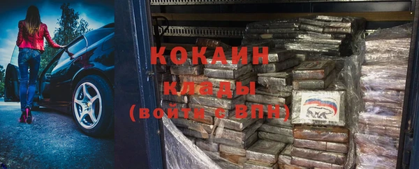 МДПВ Ельня