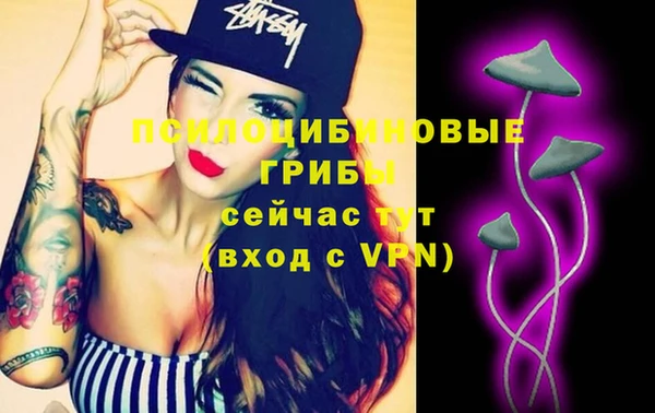 ГАЛЛЮЦИНОГЕННЫЕ ГРИБЫ Заволжск