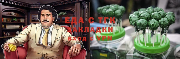 МДПВ Ельня