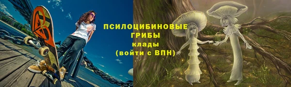 spice Елизово