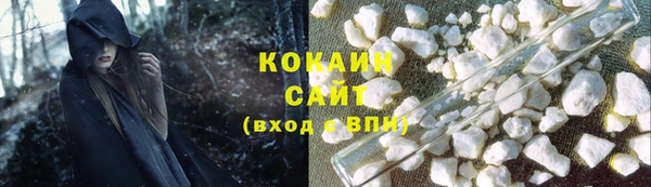 МДПВ Ельня