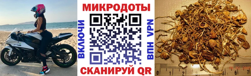 Галлюциногенные грибы Cubensis  Купить  Новопавловск 